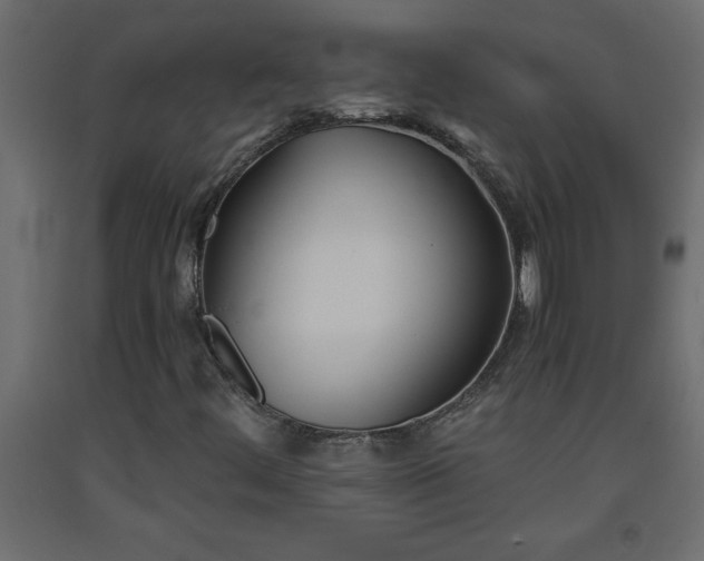 X0000093571444200710151118