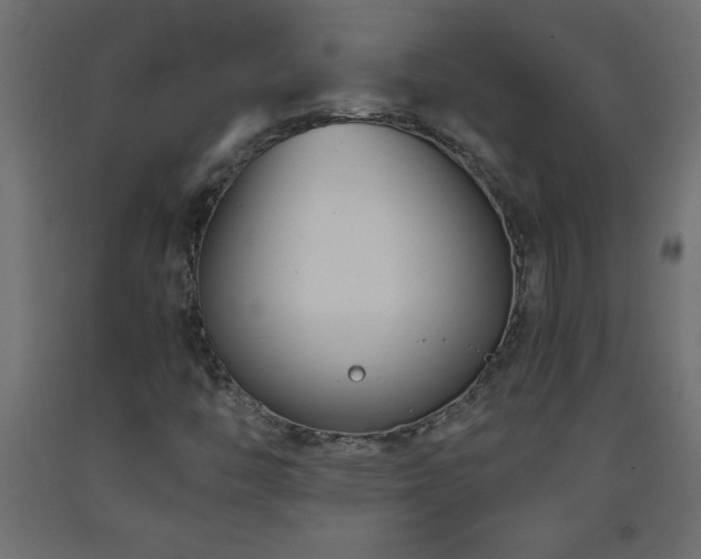 X0000093571446200710151118