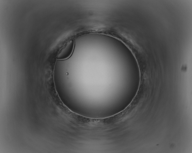 X0000093571447200710151118