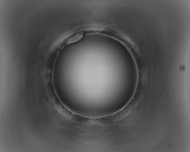 X0000093571448200710151118