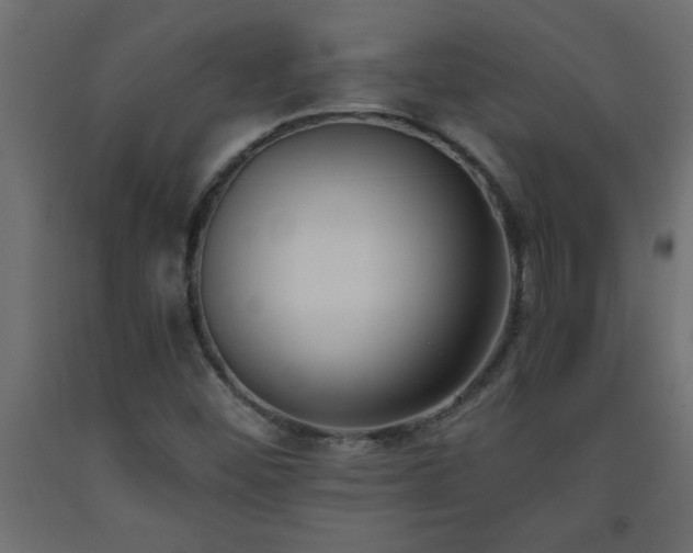 X0000093571452200710151118