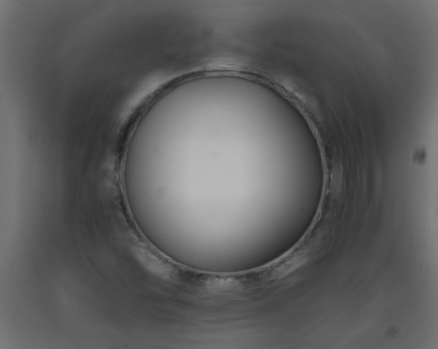 X0000093571454200710151118