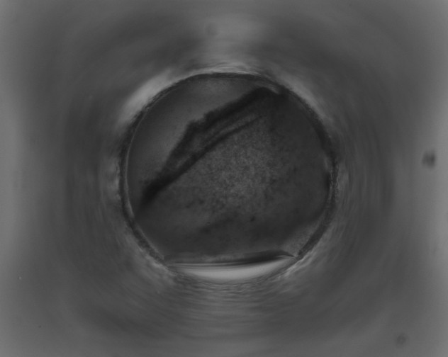 X0000093571455200710151118