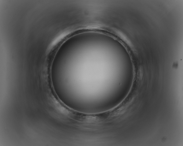 X0000093571456200710151118