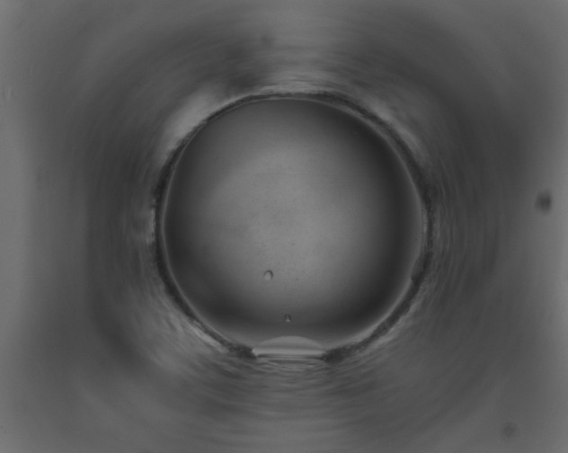 X0000093571459200710151118