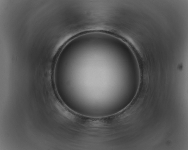 X0000093571460200710151118