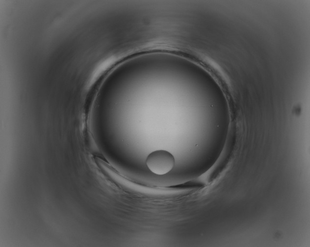 X0000093571461200710151118