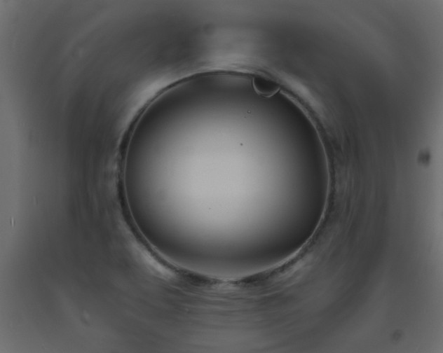 X0000093571463200710151118