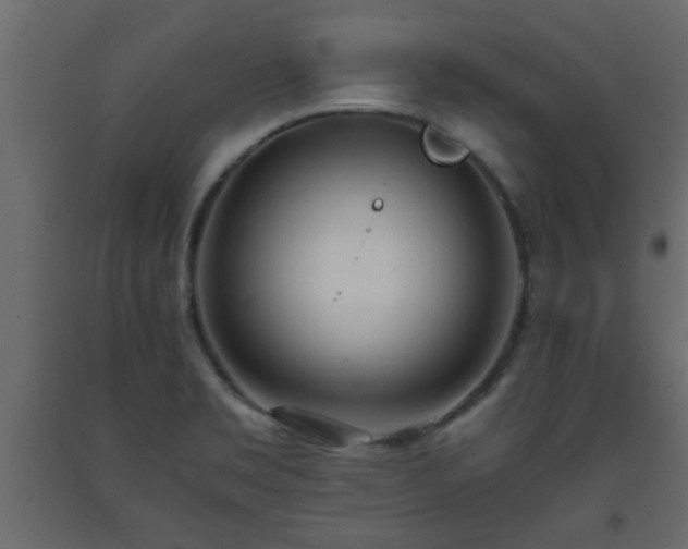 X0000093571469200710151118
