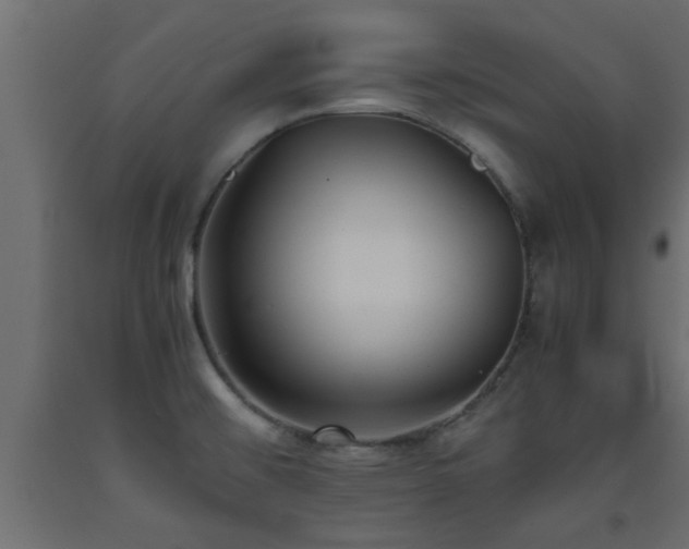 X0000093571476200710151118