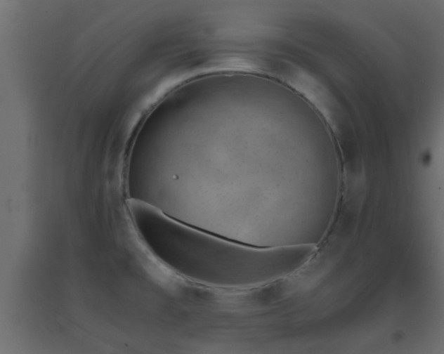 X0000093571477200710151117
