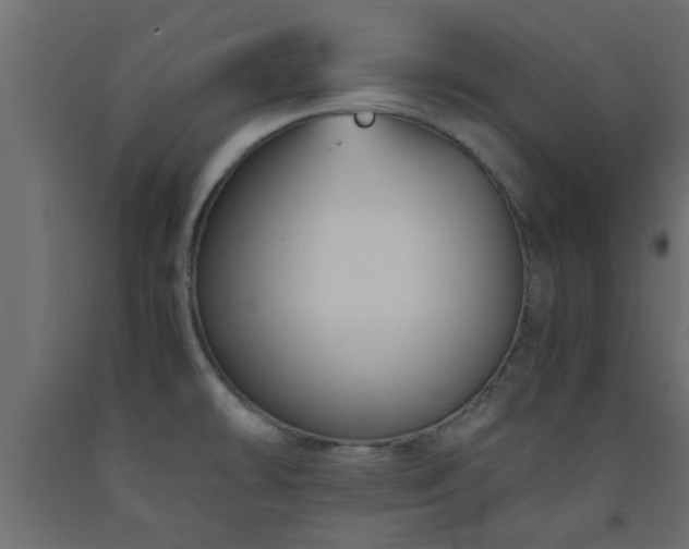 X0000093571478200710151117