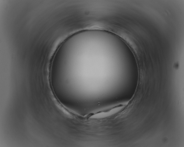 X0000093571480200710151117