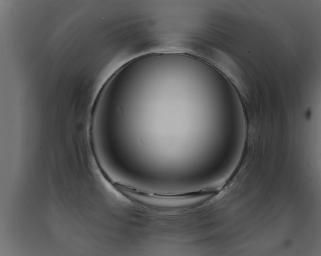 X0000093571484200710151117