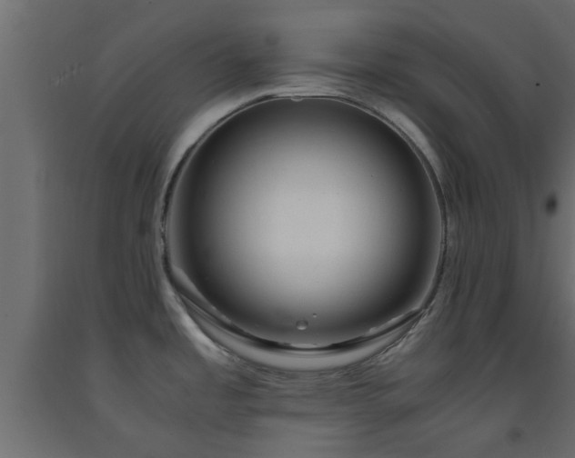 X0000093571485200710151117