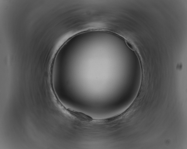 X0000093571488200710151117