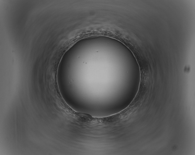 X0000093571489200710151116
