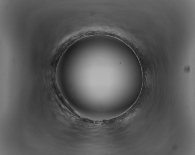 X0000093571494200710151116