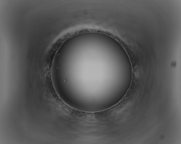 X0000093571495200710151116