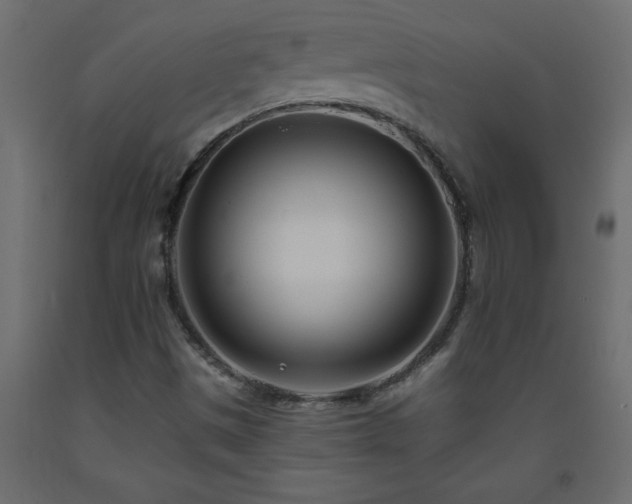 X0000093571497200710151117