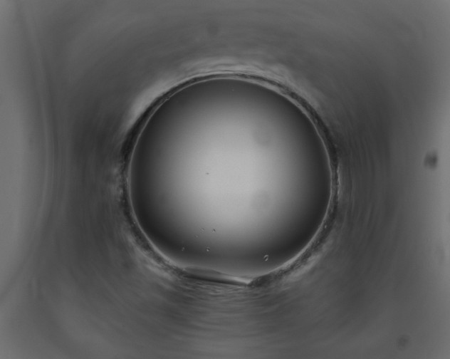 X0000093571501200710151117