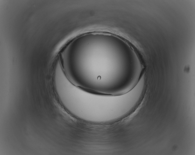 X0000093571502200710151117