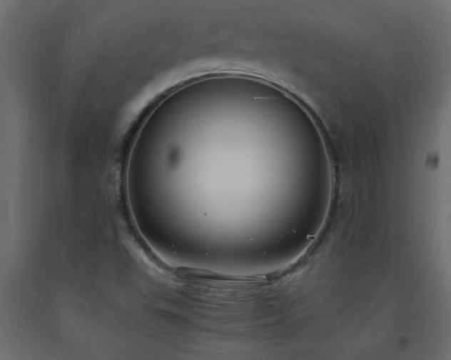 X0000093571503200710151117