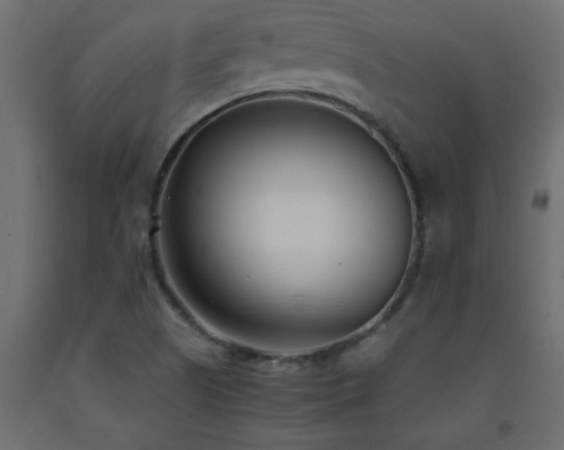 X0000093571505200710151117