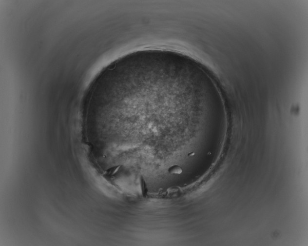 X0000093571506200710151117