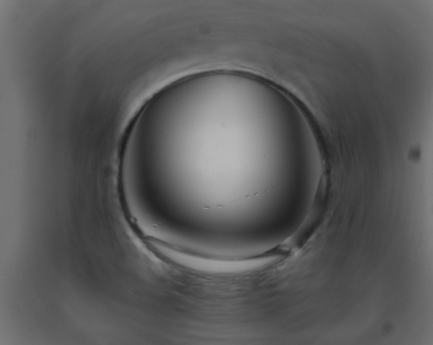 X0000093571508200710151117