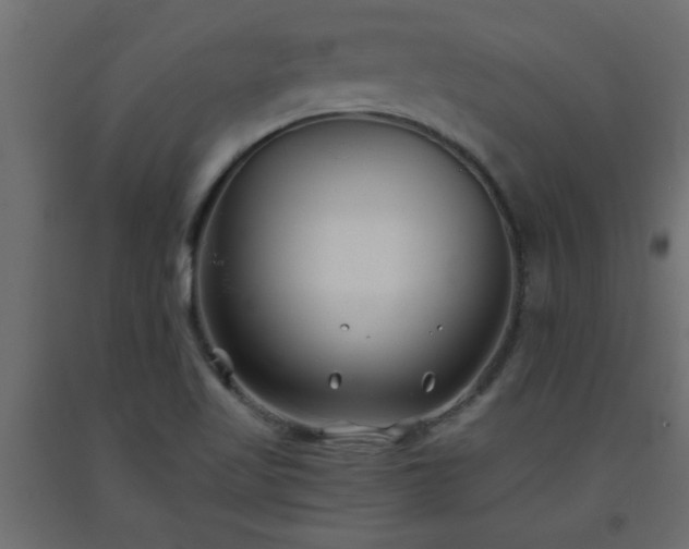 X0000093571509200710151117