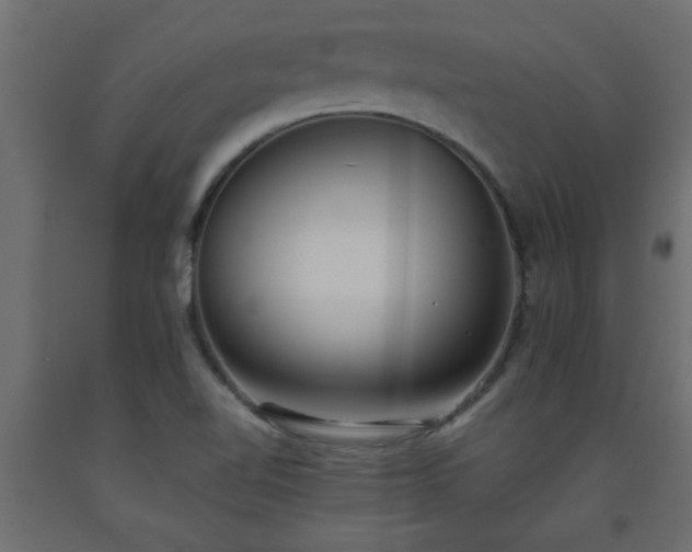 X0000093571510200710151117