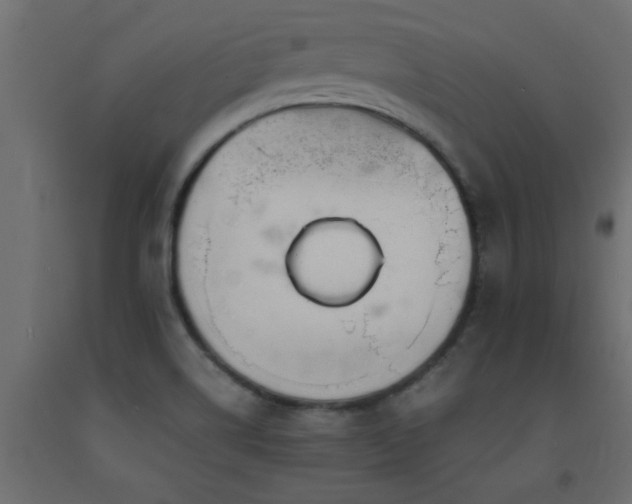 X0000093571514200710151117