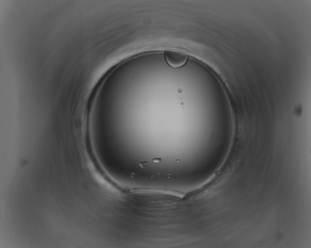 X0000093571515200710151117