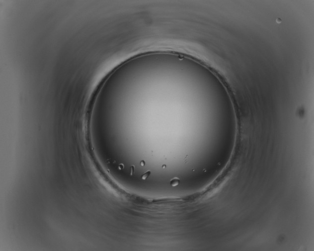 X0000093571517200710151117