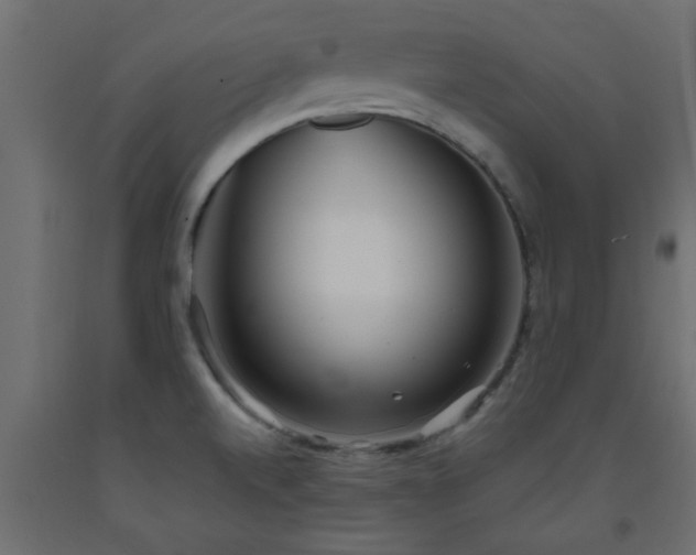 X0000093571520200710151117