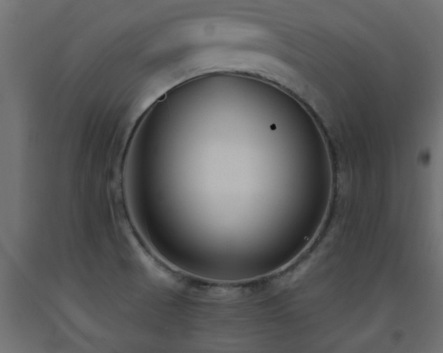 X0000093571521200710151117
