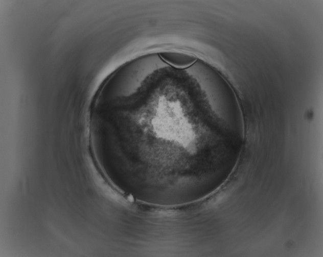 X0000093571522200710151117