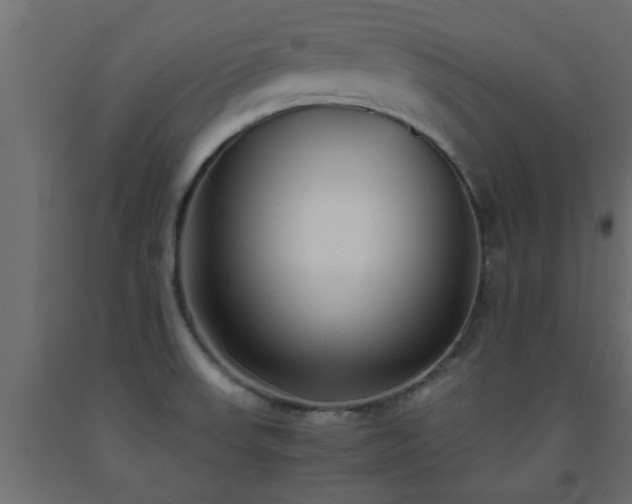 X0000093571523200710151117