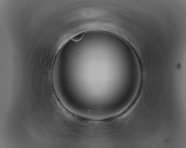 X0000093571529200710151117