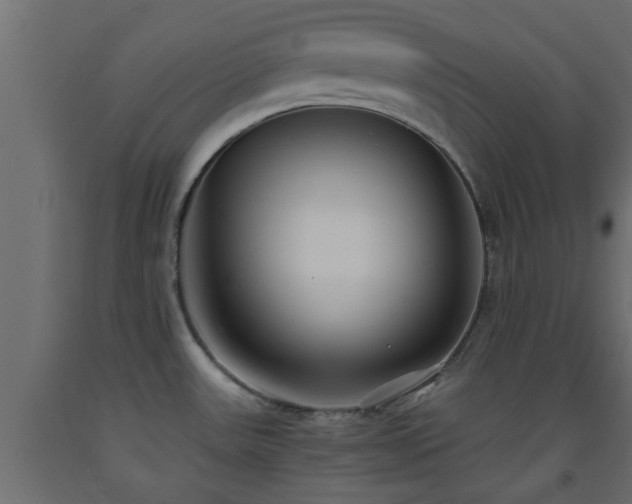 X0000093571531200710151117