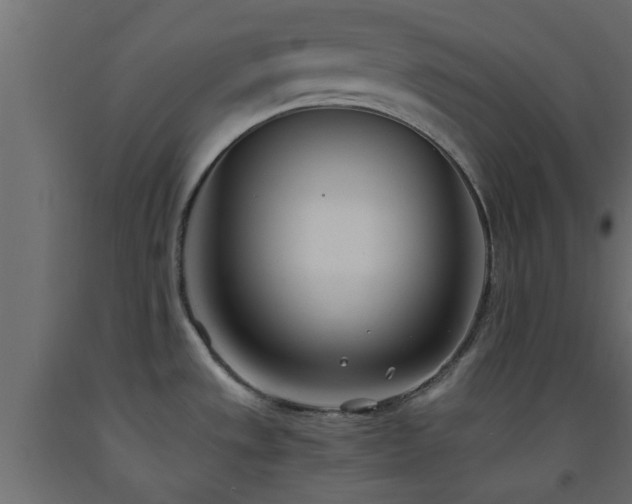 X0000093571533200710151117
