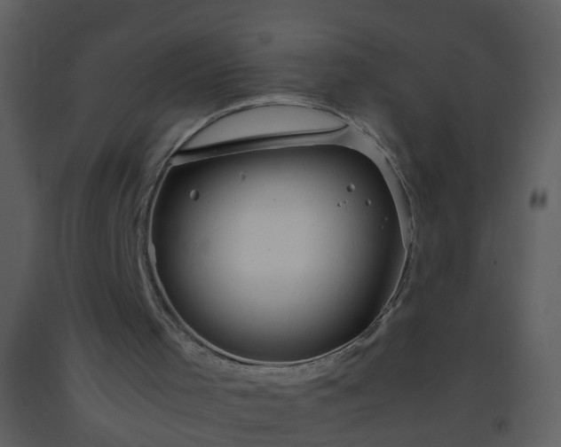 X0000093570001200710221453