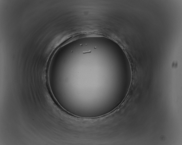 X0000093570002200710221453