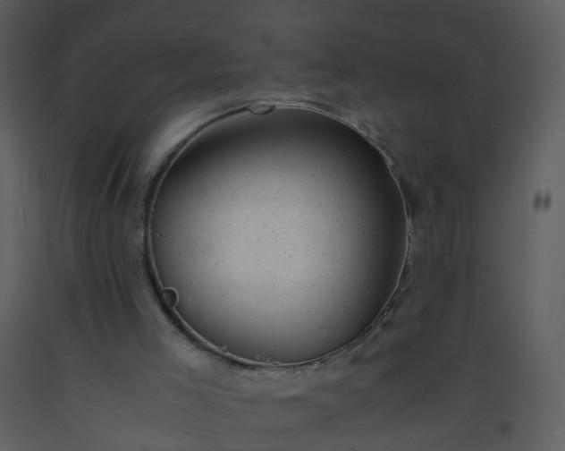 X0000093570005200710221453