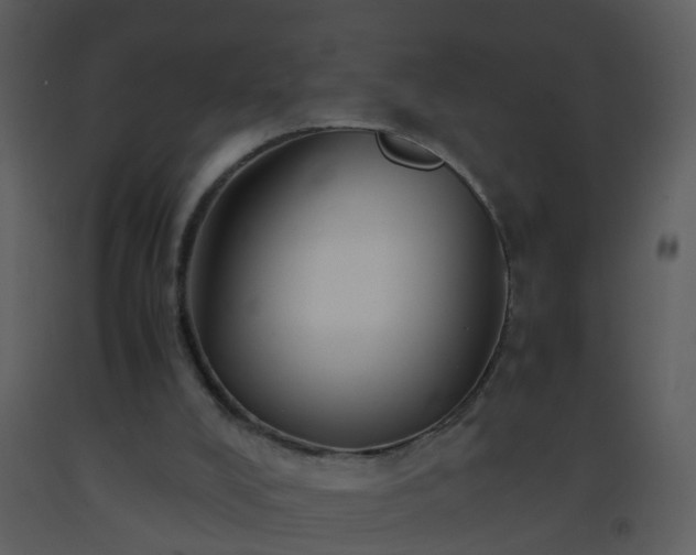X0000093570008200710221453