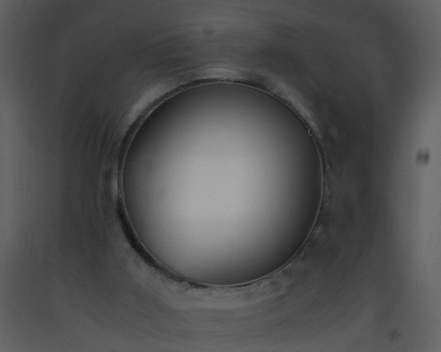 X0000093570011200710221453