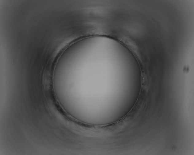 X0000093570012200710221453