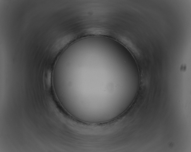 X0000093570014200710221453