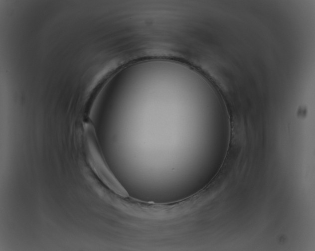 X0000093570015200710221453